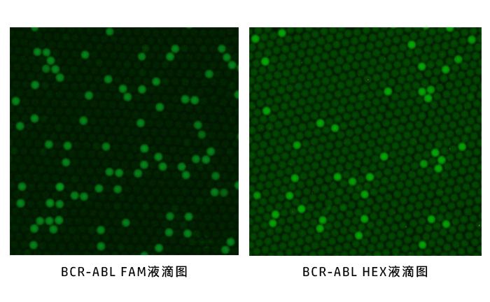 喜讯  博瑞生物两款数字PCR试剂盒获批上市！