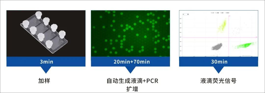 博瑞生物推出猴痘病毒数字PCR与荧光PCR检测试剂盒，助力科学战“痘”